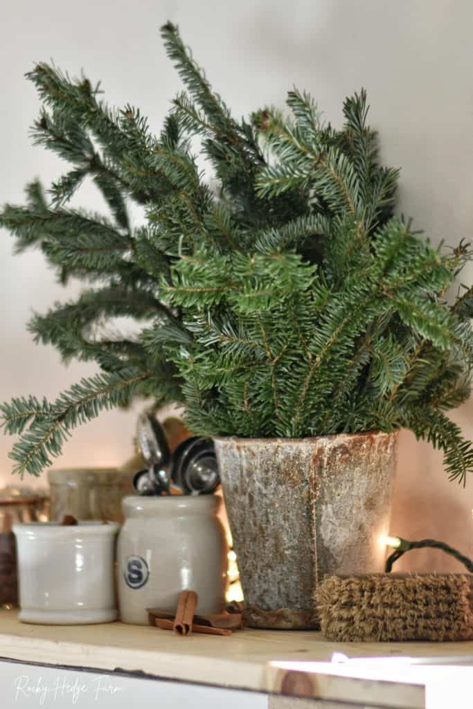 Preserve Christmas Greenery