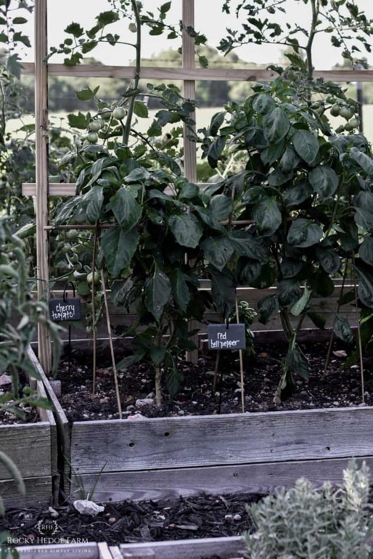 Weatherproof Hanging Slate Vegetable Plant Markers