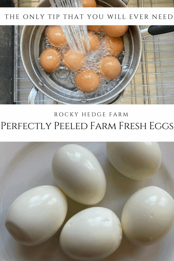 The Easiest Way to Peel Hard Boiled Eggs - Alphafoodie