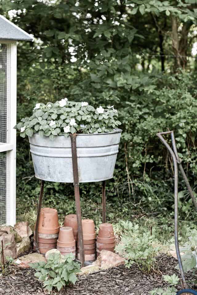 Landscaping Around the Chicken Coop Using Galvanized Garden Containers