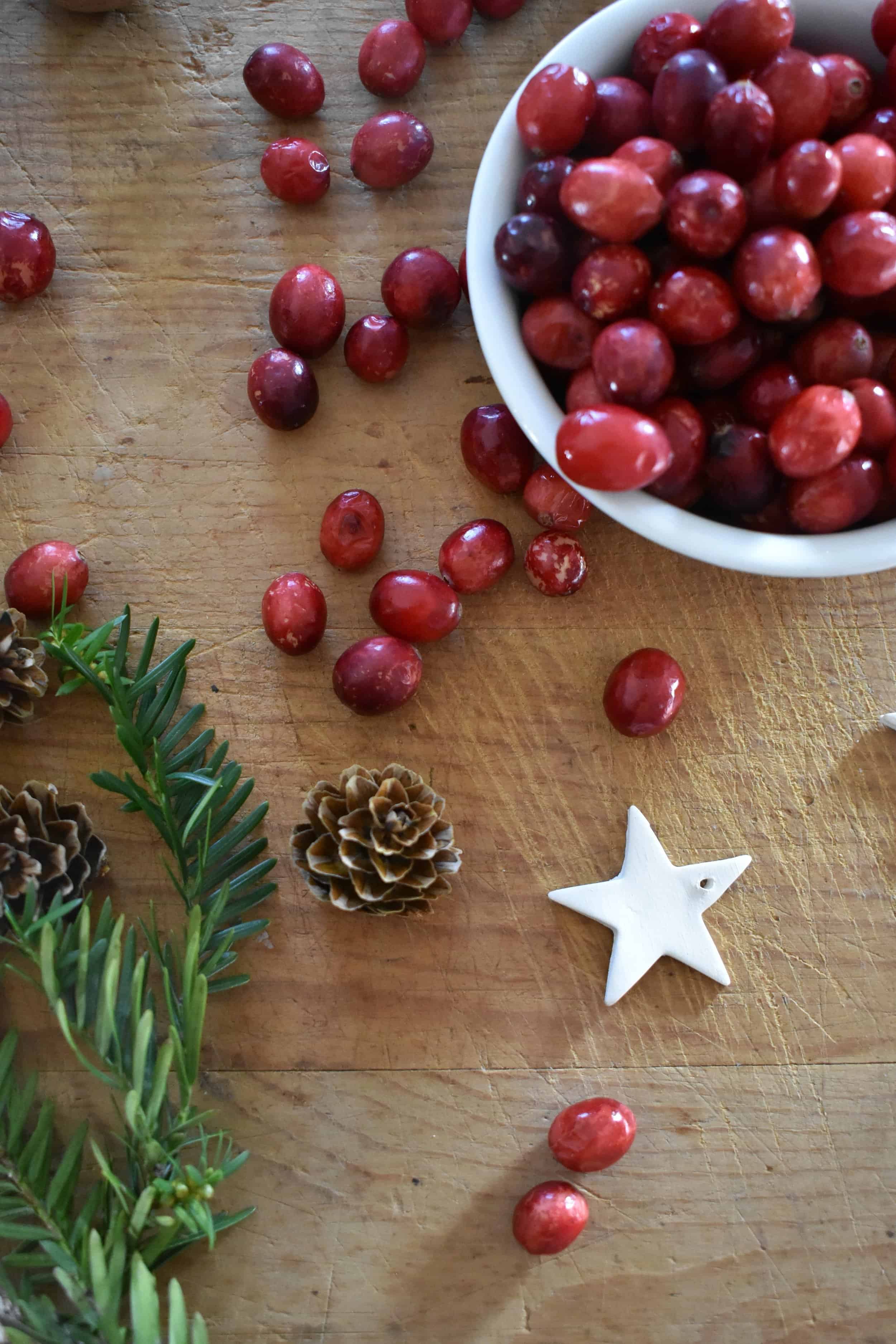 Cranberries: The Ultimate Guide to Decorating with Nature's Beauty