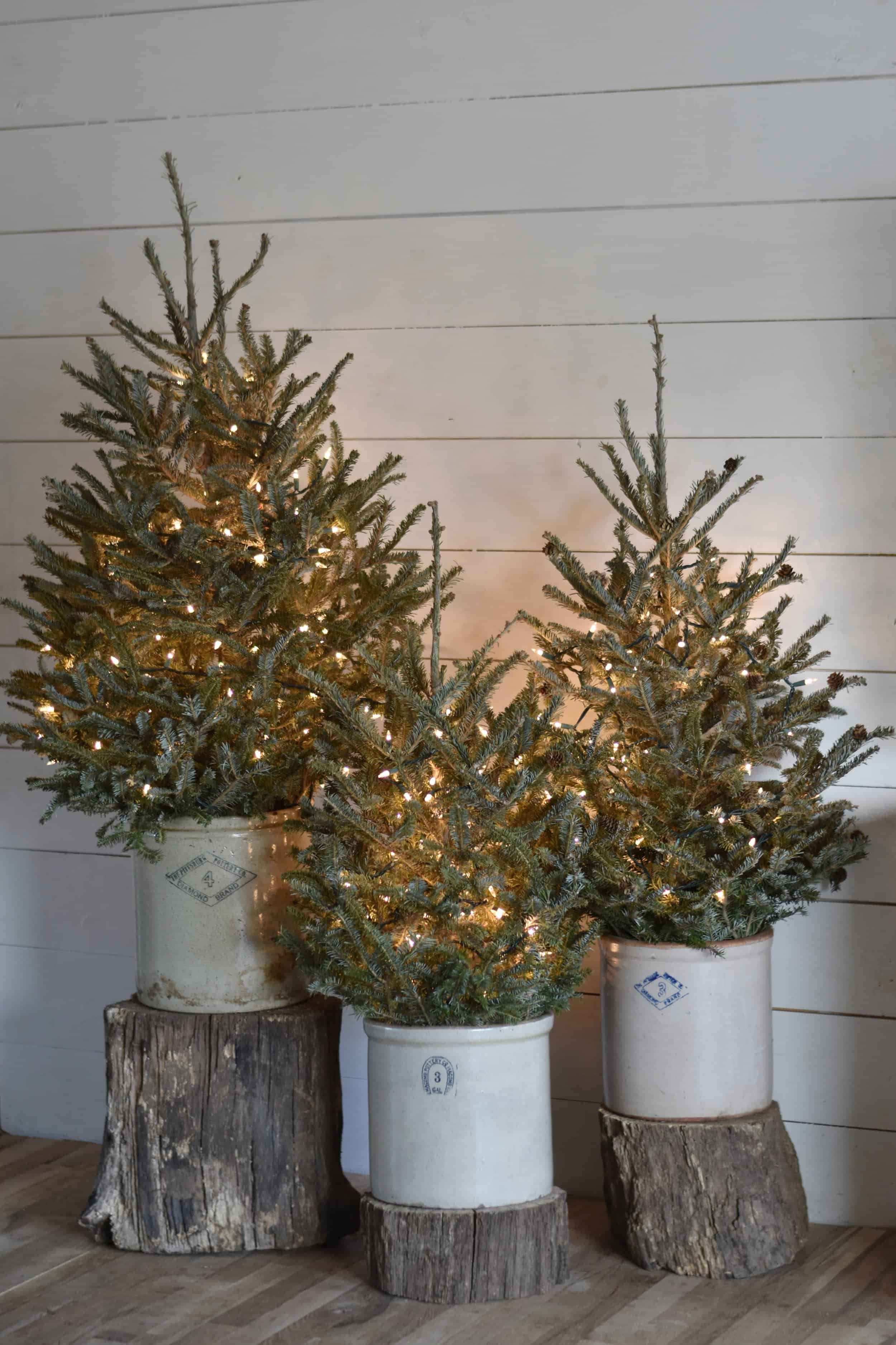 Cozy Country Farmhouse Christmas