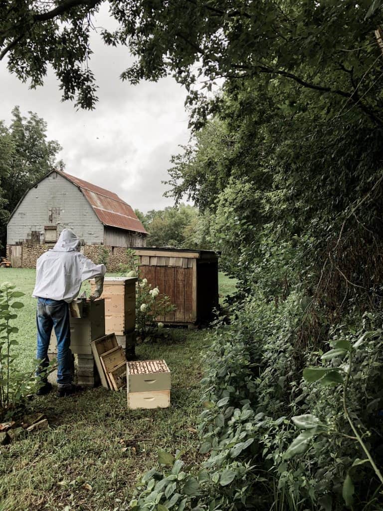 What is the Best Location for Beehives? Plus, other questions to ask for the backyard beekeeper.