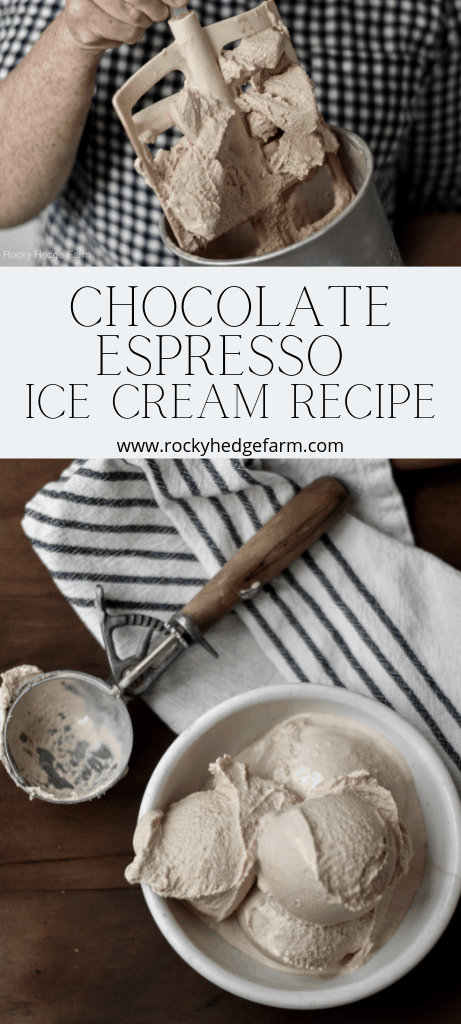 Low Carb | Keto | Trim Healthy Mama | THM | Chocolate Espresso Ice Cream Recipe