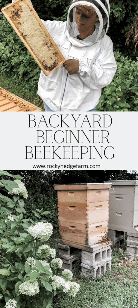 Backyard Beekeeping for Beginners - Ask Yourself These Questions Before You Get Bees