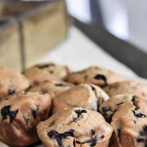 Overnight Sourdough Recipe for Blueberry Muffins