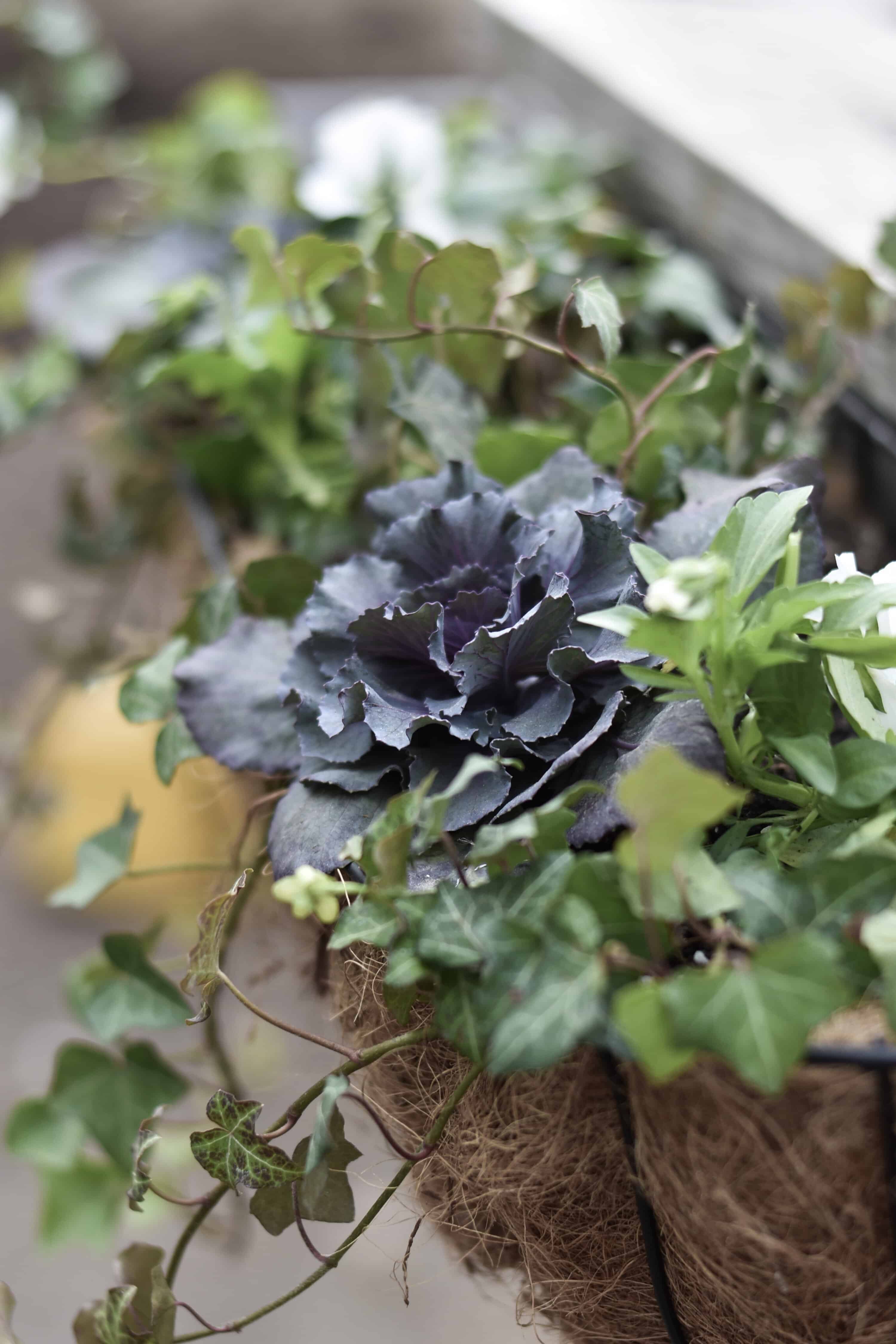 fall porch window box planter