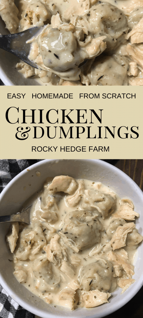 Homemade Chicken and Dumplings Recipe