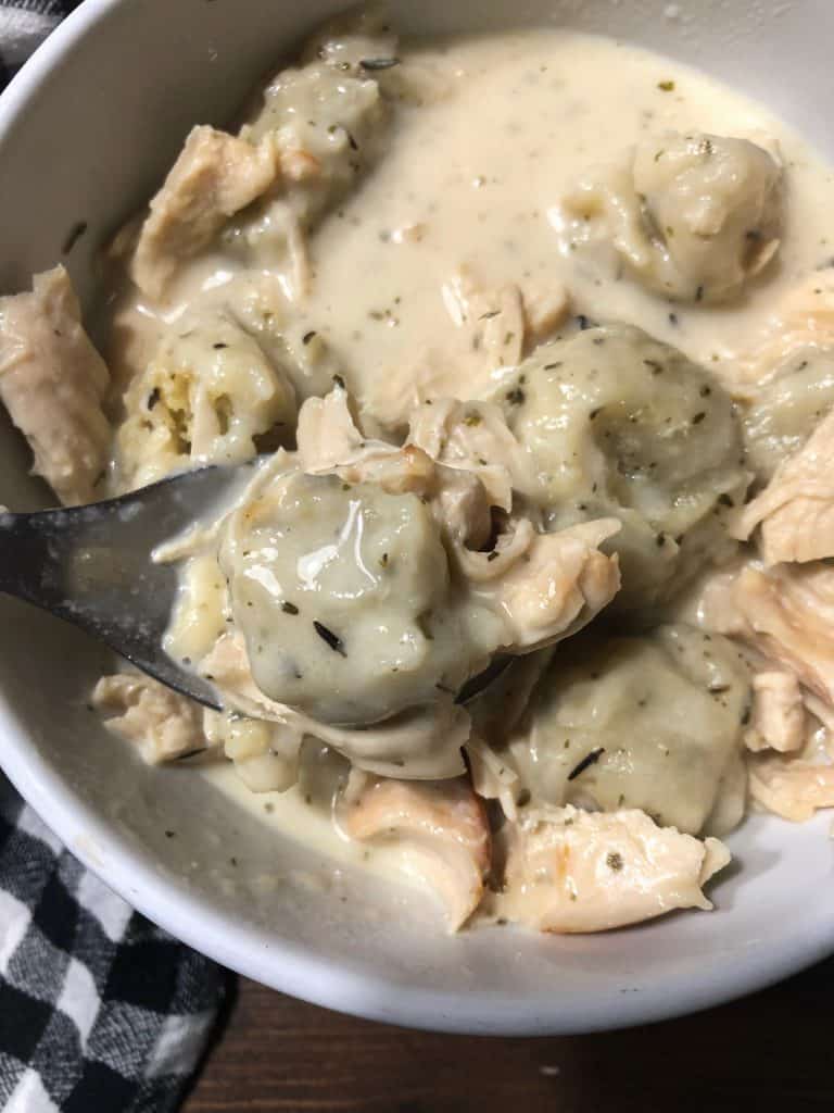 Easy Homemade Chicken and Dumpling Recipe