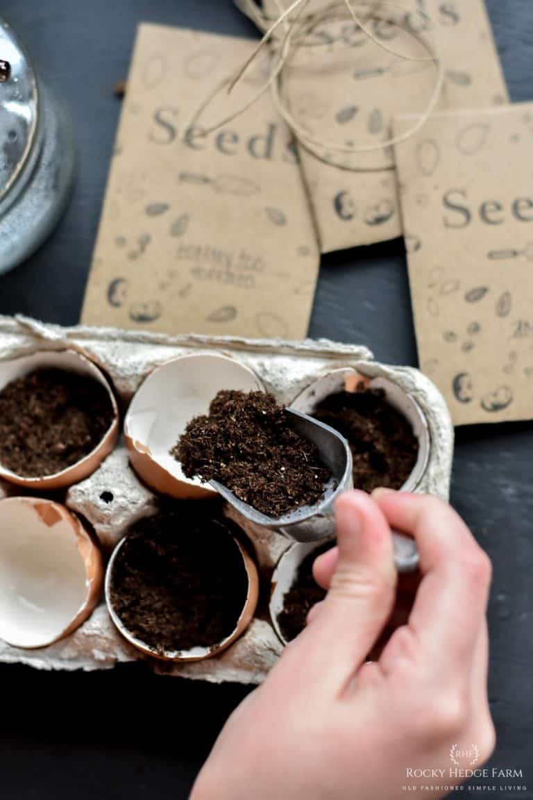 Starting Seeds in Eggshells