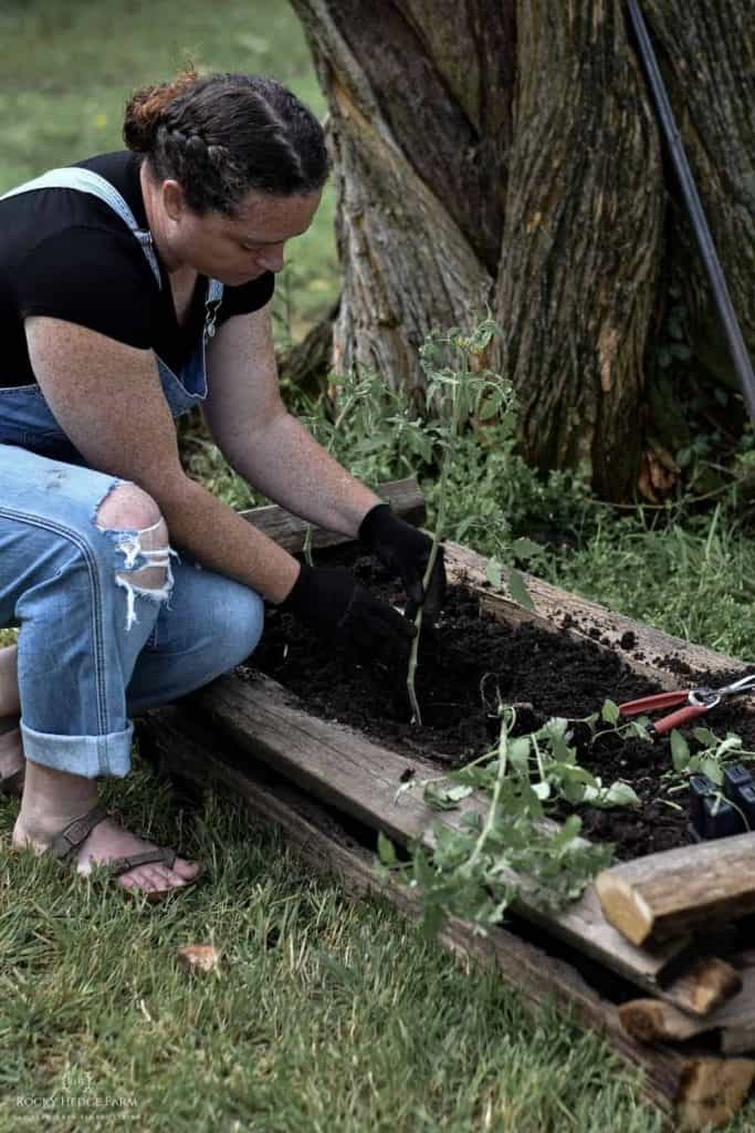 a lady gardener