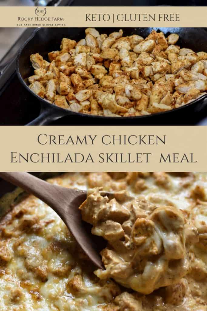 Quick and Easy Keto Chicken Enchilada