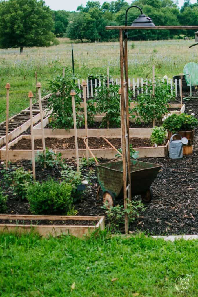 Raised Vegetable Garden Beds