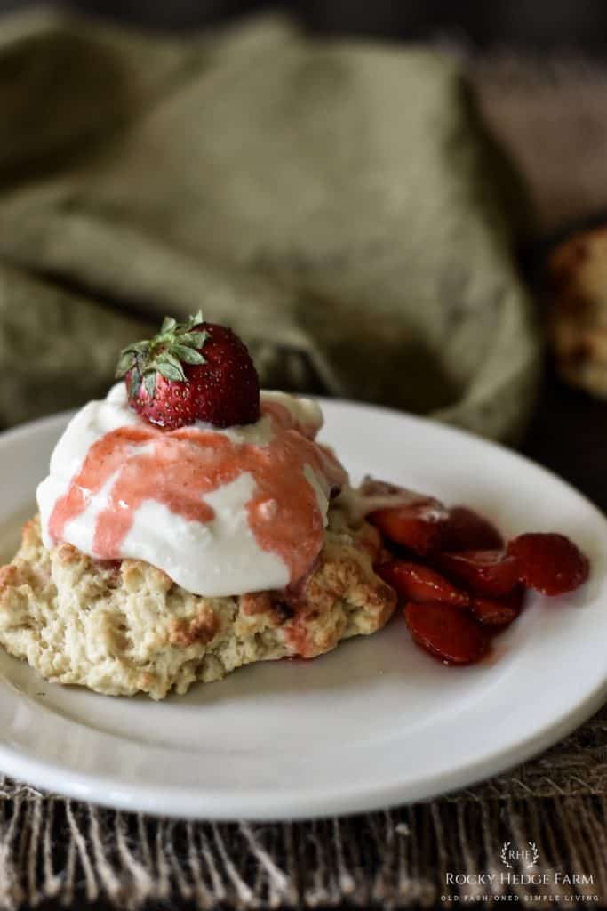 The Best Sourdough Strawberry Shortcake Recipe