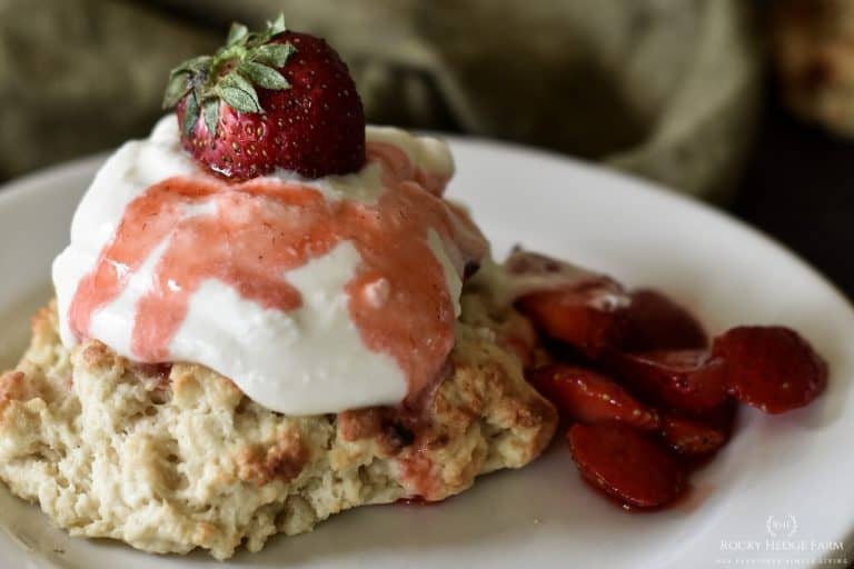 Sourdough Strawberry Shortcake