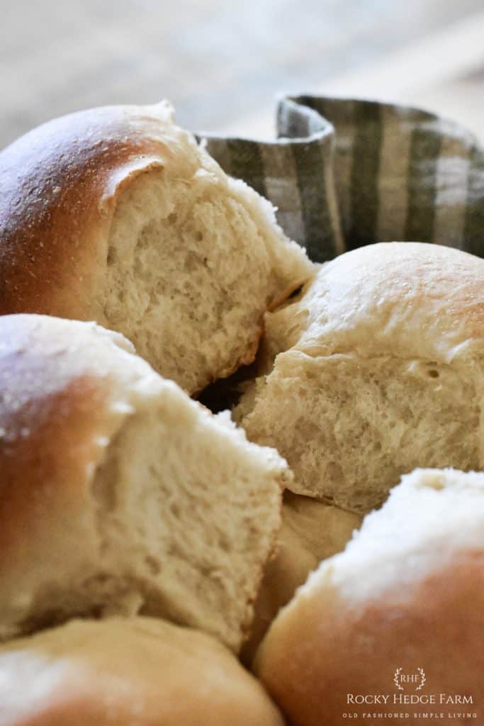 honey sourdough bread rolls
