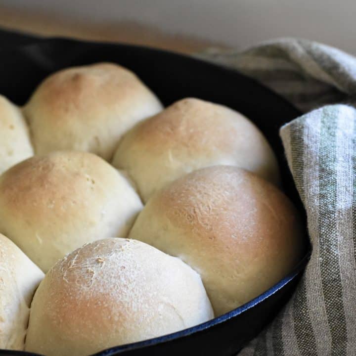 sourdough dinner rolls