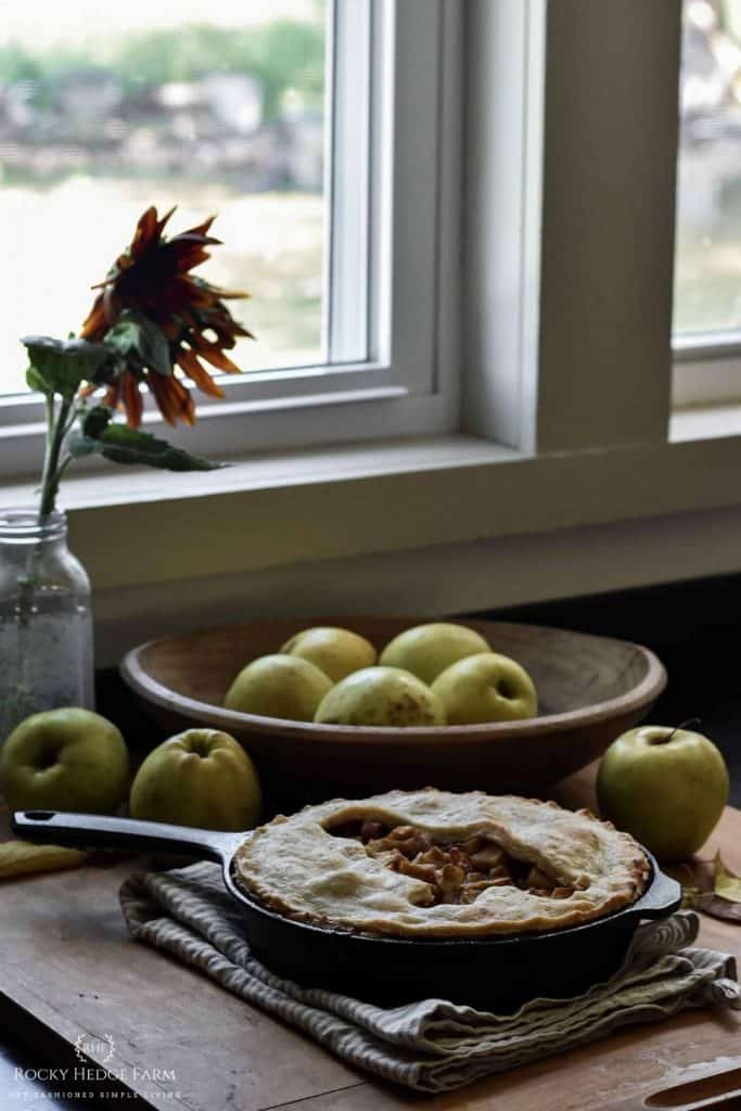 Cast Iron Skillet Apple Pie – Field Company