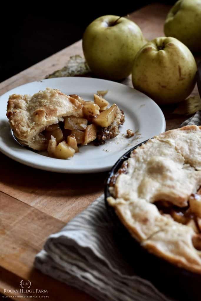 Apple Pie - Pie Iron Recipe - Trek Southwest