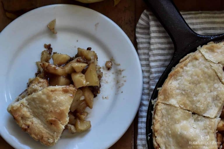 How to Make a Cast Iron Skillet Apple Pie