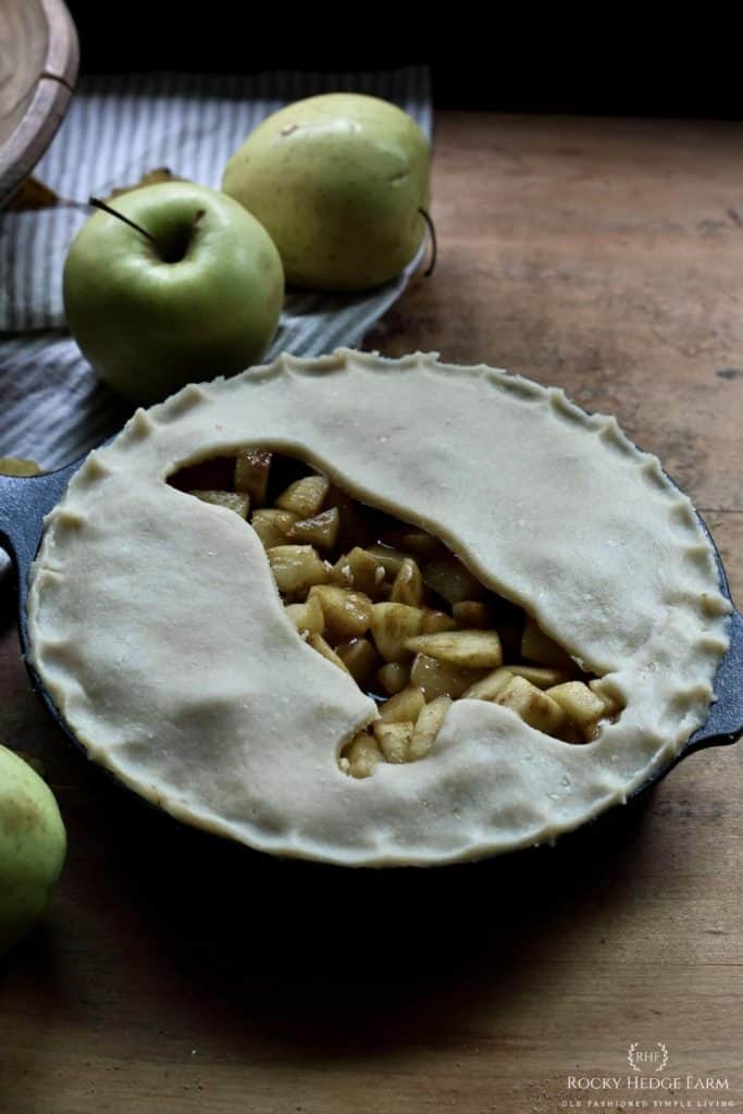 Cast Iron Skillet Apple Pie – Field Company