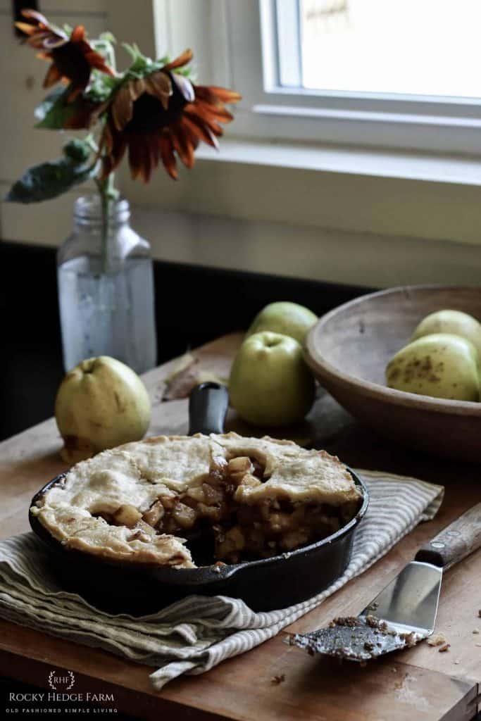 How to Store Cast Iron Pans - Rocky Hedge Farm