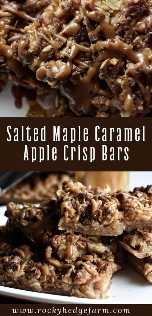 Apple Crisp Bars Recipe