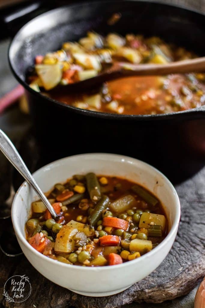 Bowl of Vegetable Soup