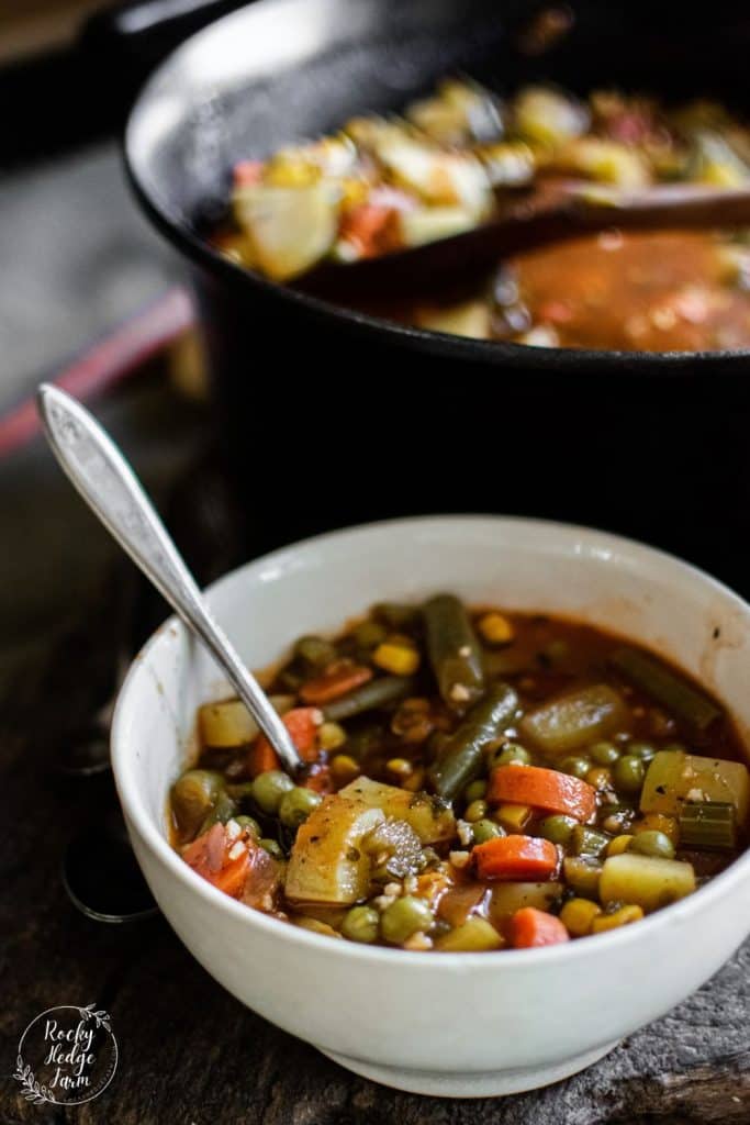 Vegetable Soup