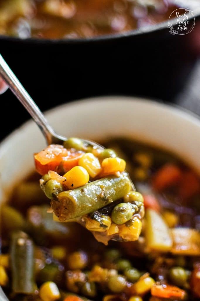 A Spoonful of Vegetable Soup