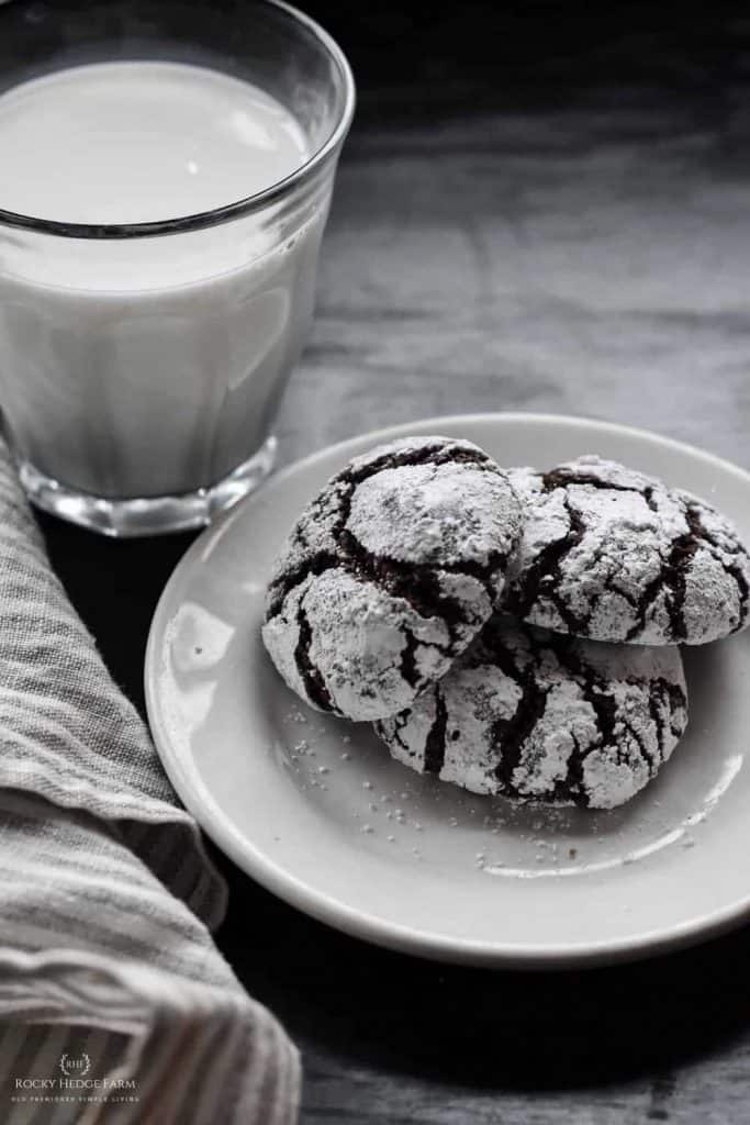 Espresso Crinkle Recipe