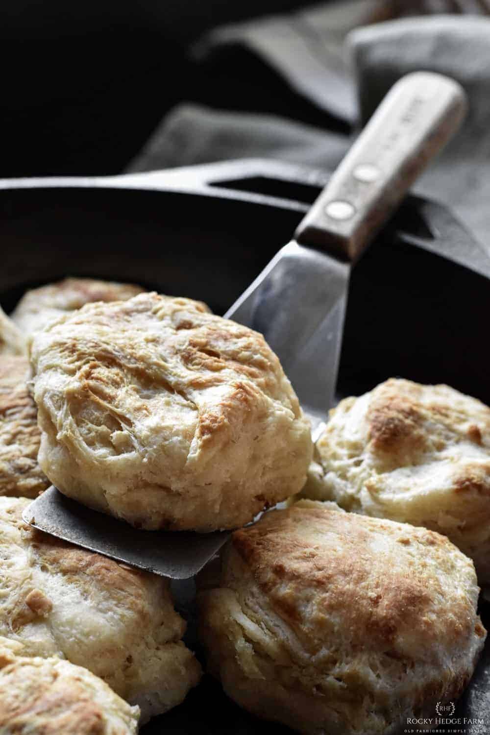 Overnight Sourdough Cast Iron Biscuits