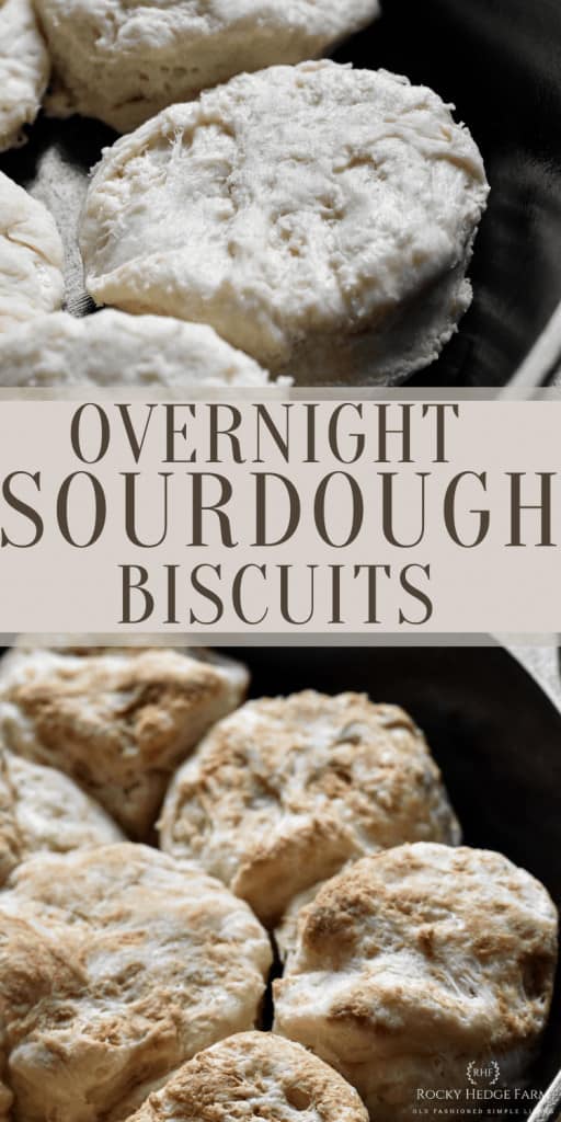 overnight sourdough biscuits