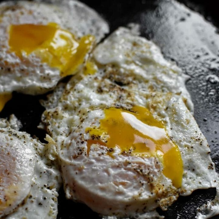 Fried Egg Over Easy - Rocky Hedge Farm