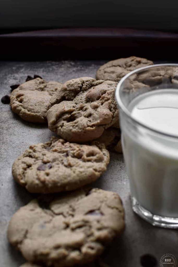 Espresso Cookies Recipe