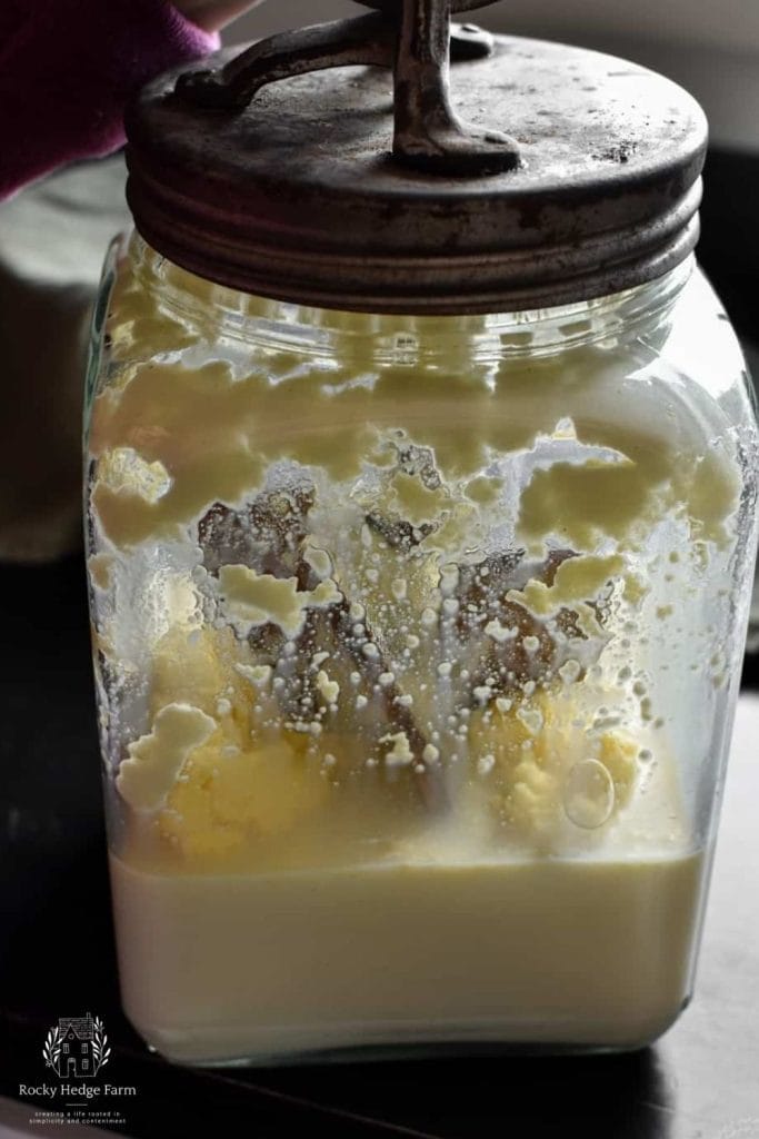 Close-up of butter being formed during churning