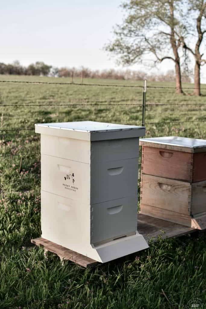 Set up Beehive