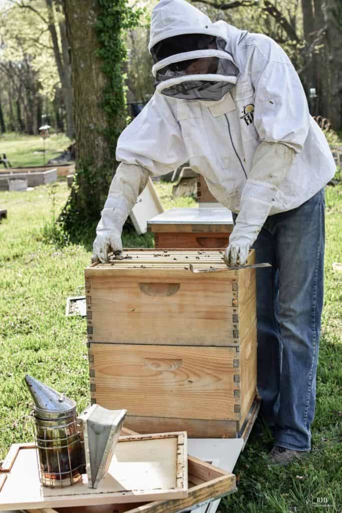 Parts of a Bee Hive