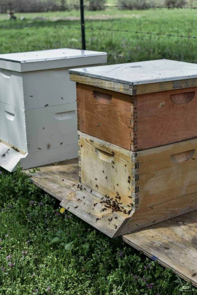 Langstroth Hive Structure