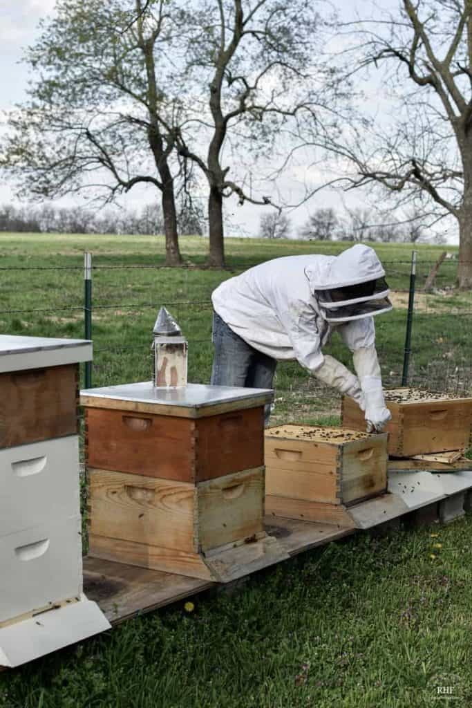 Working Langstroth Hive Structure