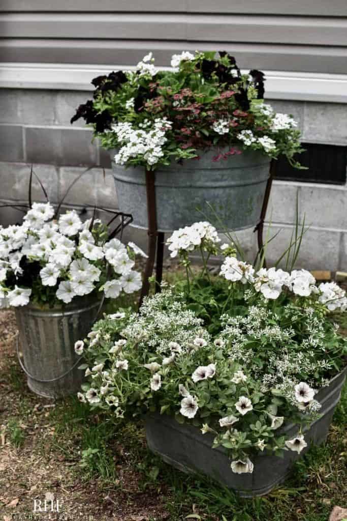 Galvanized Planter Ideas