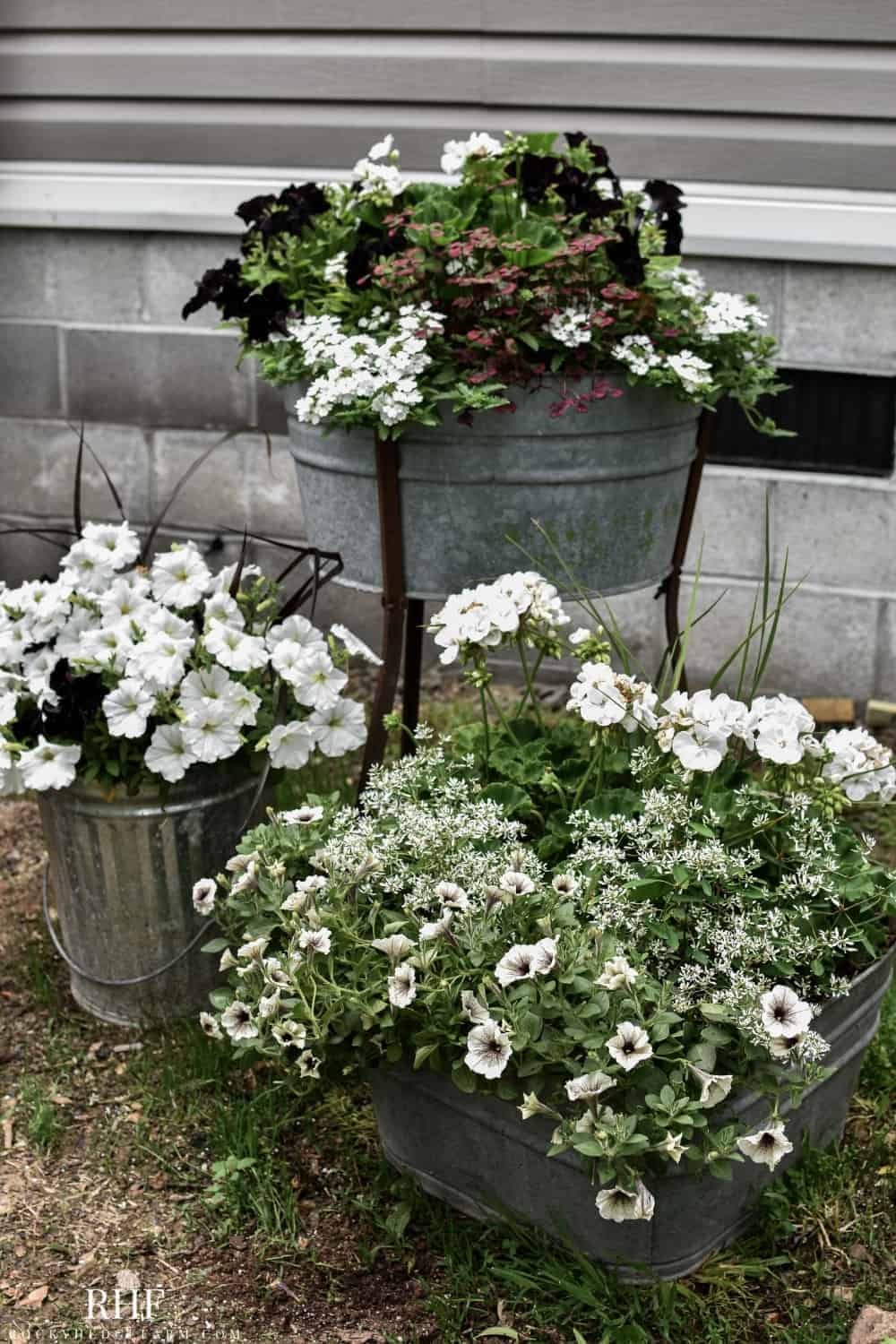 Galvanized Planter Ideas - Rocky Hedge Farm