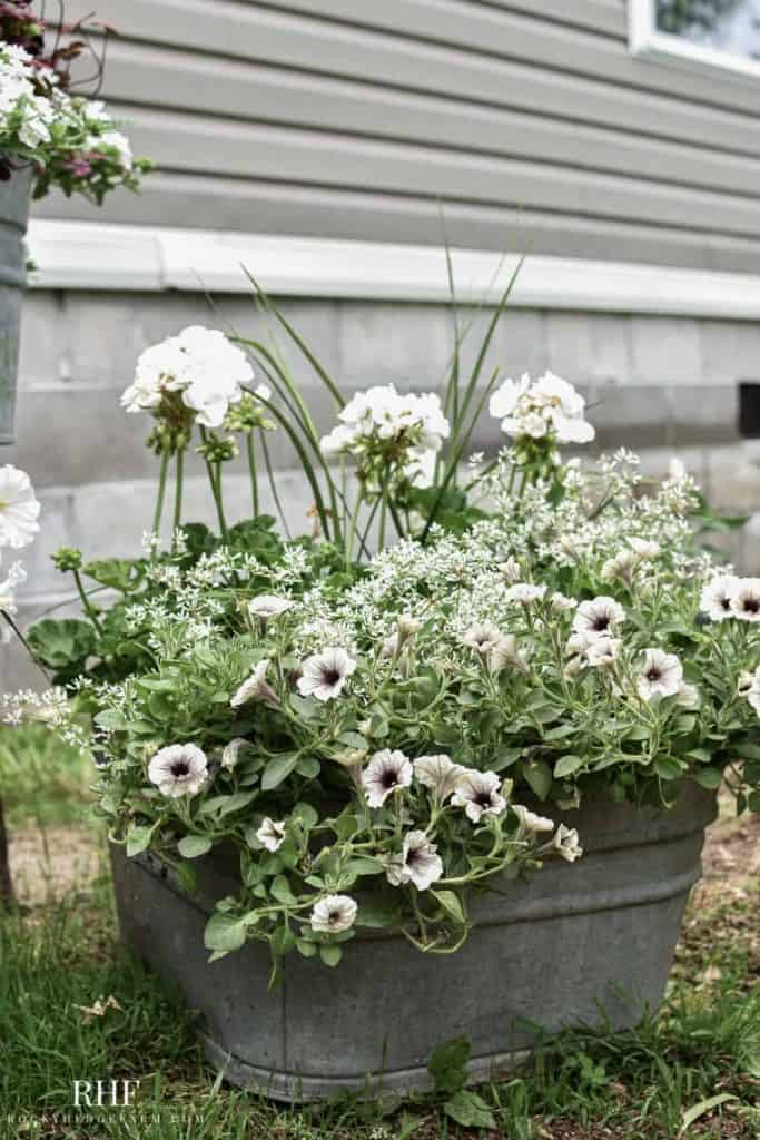 galvanized flower planters