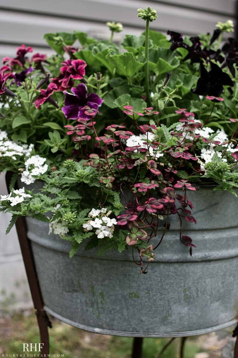 Galvanized Planter Ideas - Rocky Hedge Farm