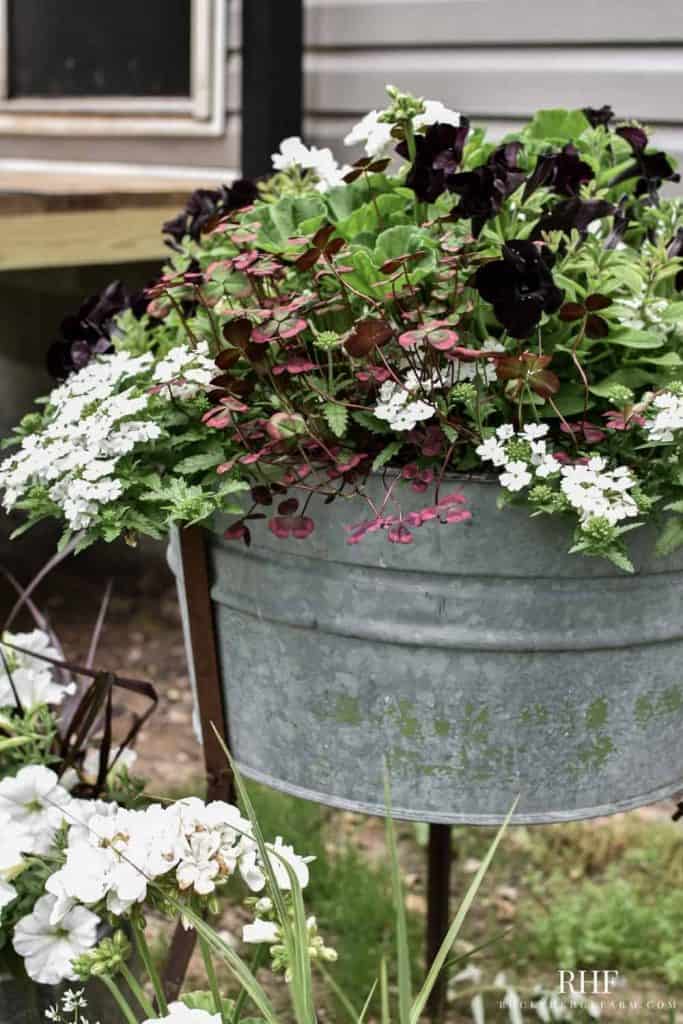 Galvanized Planter Ideas