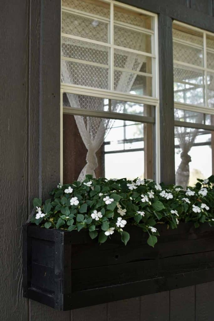 Garden Shed Window Box