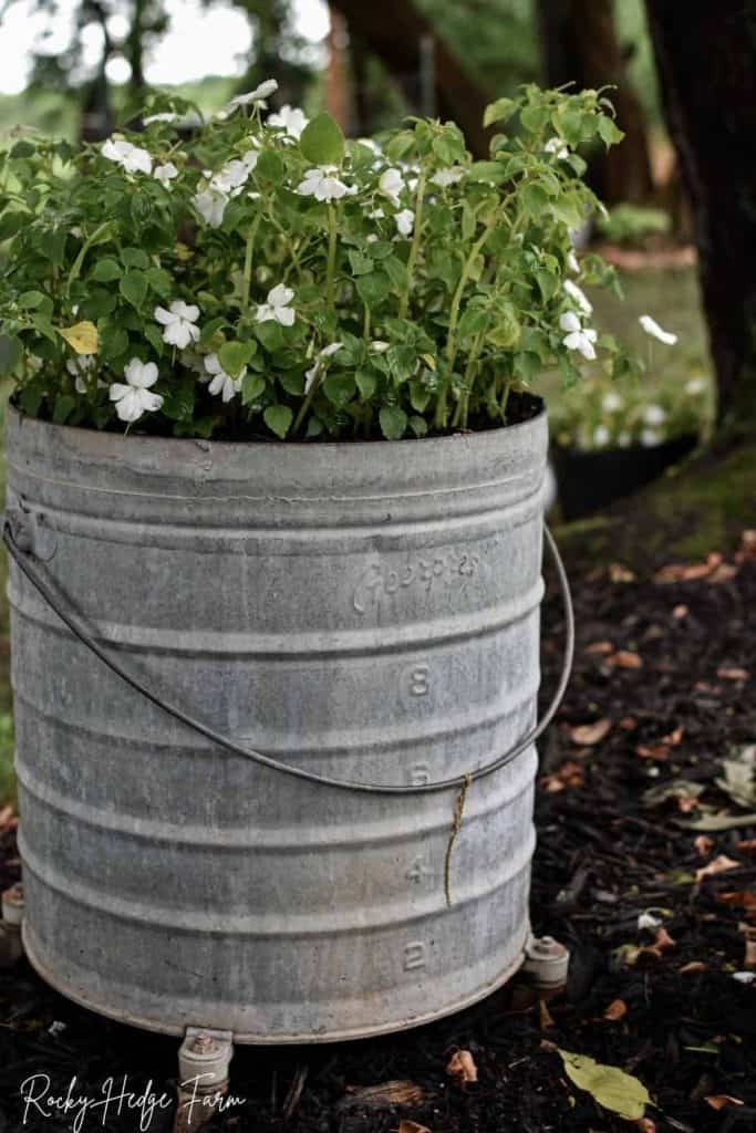 round galvanized wash bucket planter