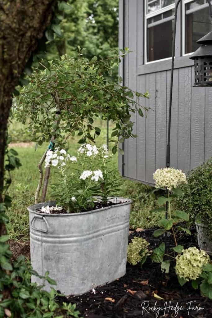 galvanized flower planter