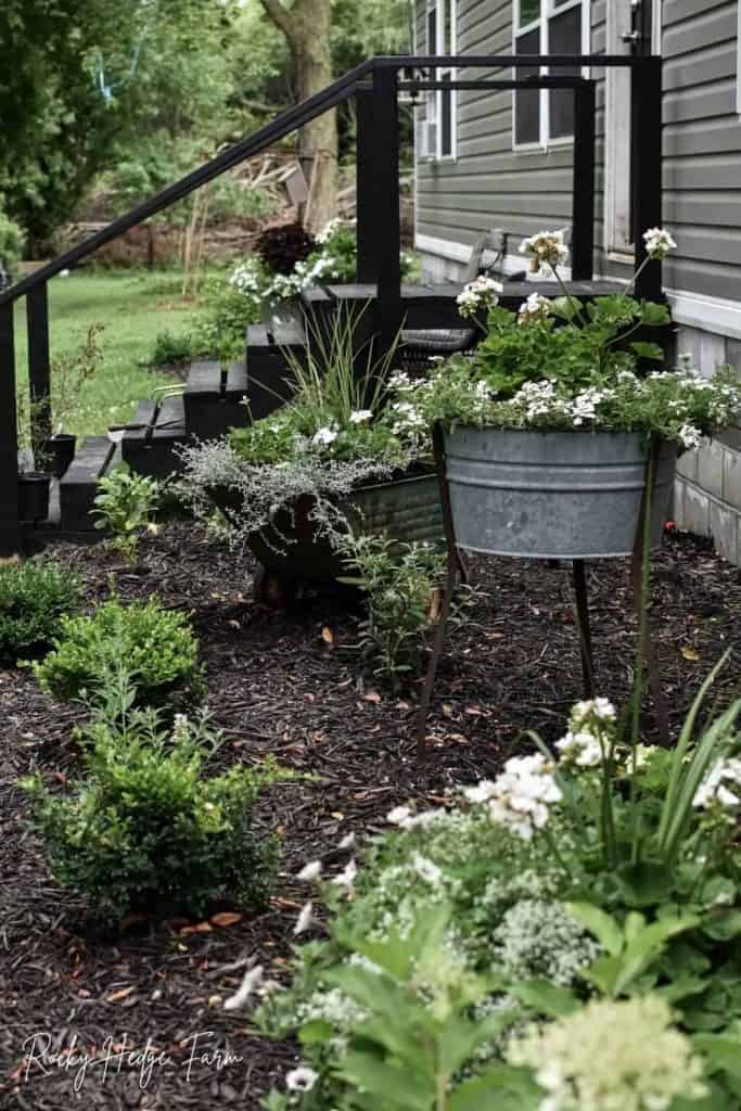 galvanized washtub planter