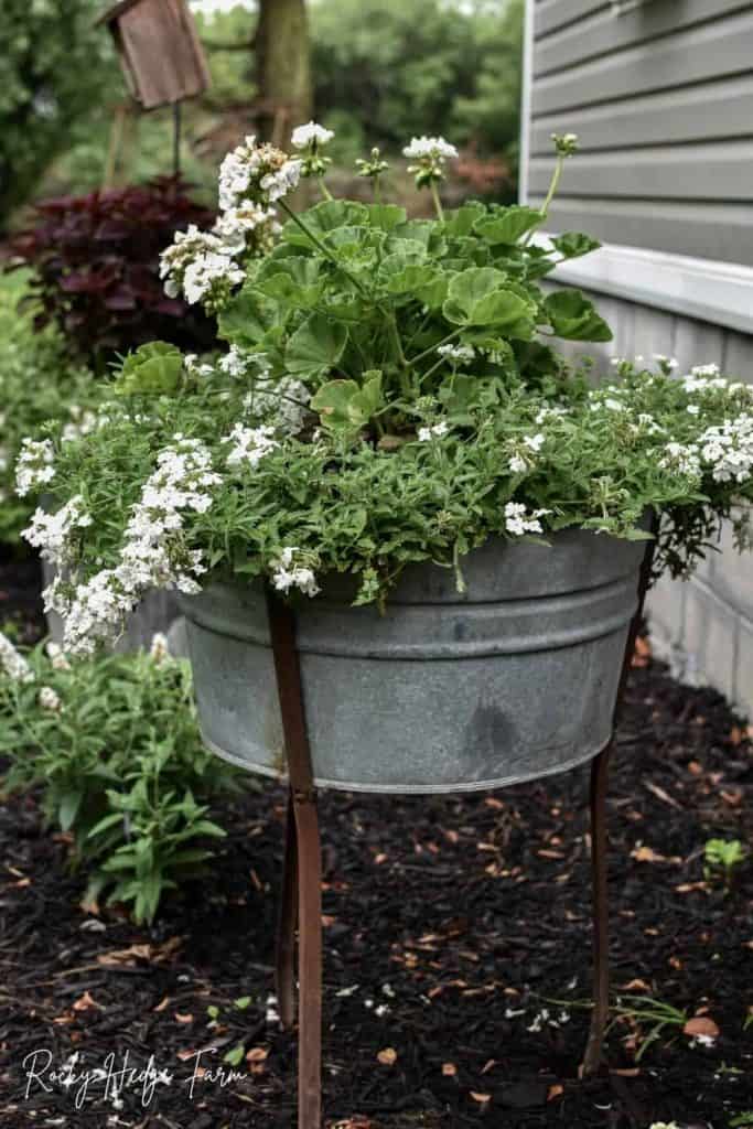 washtub planter